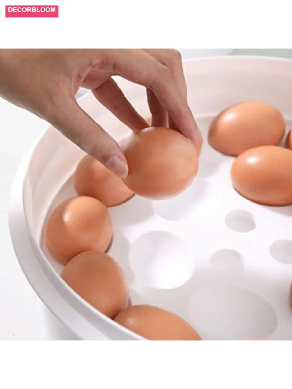 Round PP Food Storage Carrier with Lid, Tray, Handles